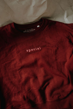Sweater burgunder "special"